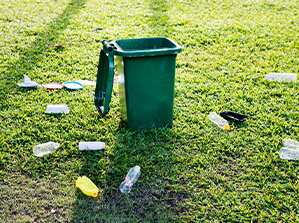 Elane DIREITO AMBIENTAL